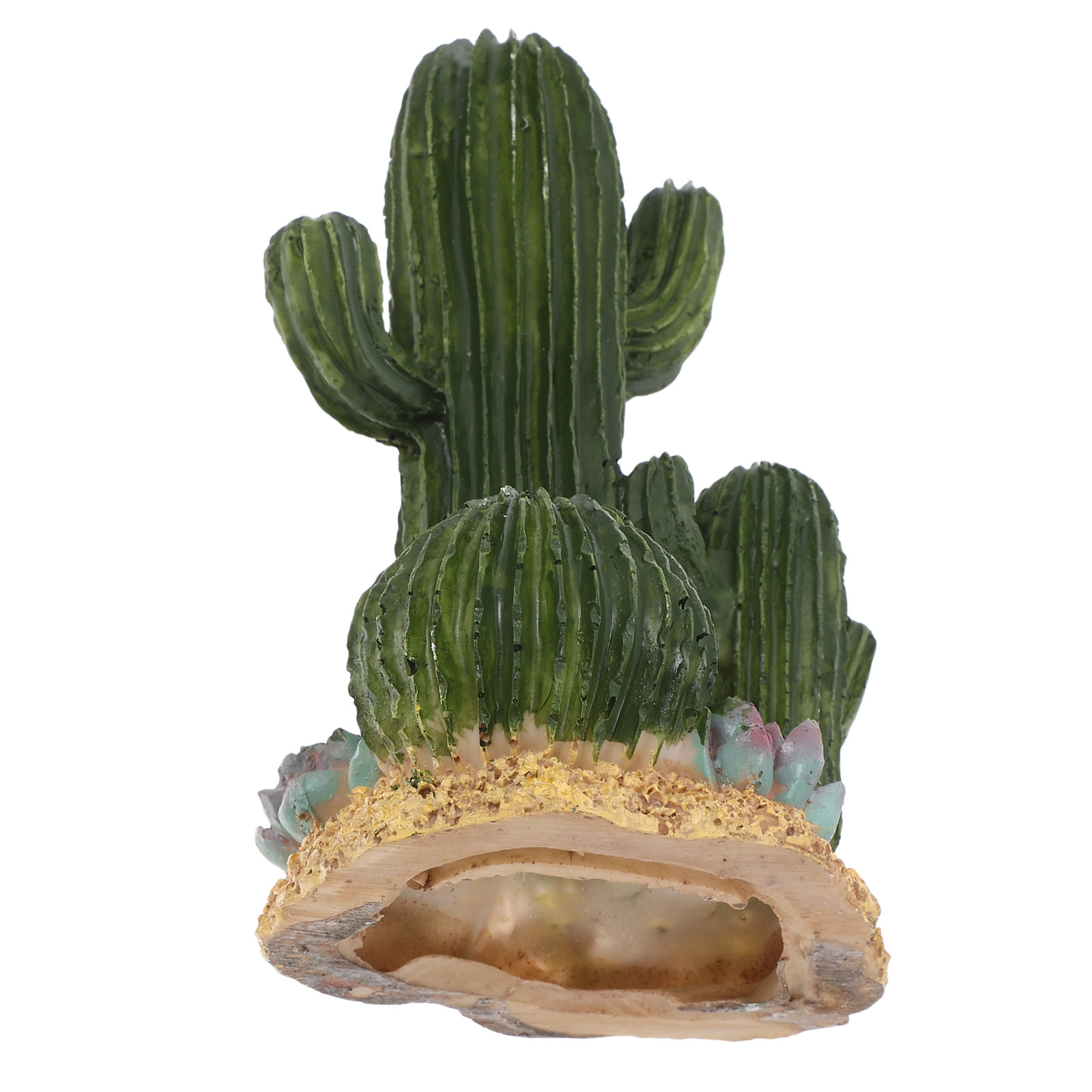 Artificial Cactus Plant Large  - Terrarium Moss Art review and price