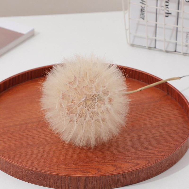 Preserved Dandelion DIY Epoxy  - Resin Craft Kit review and price