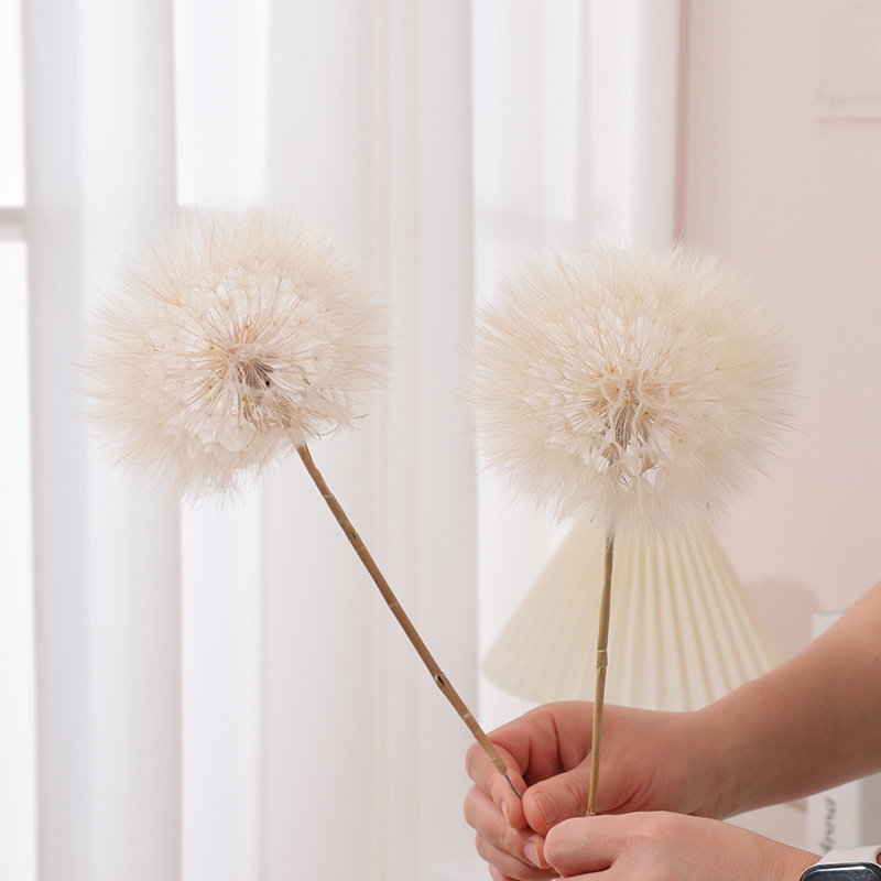 Preserved Dandelion DIY Epoxy  - Resin Craft Kit review and price