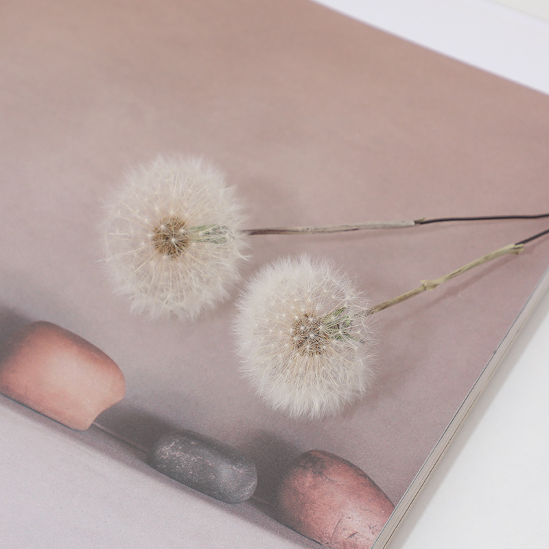 Preserved Dandelion DIY Epoxy  - Resin Craft Kit review and price