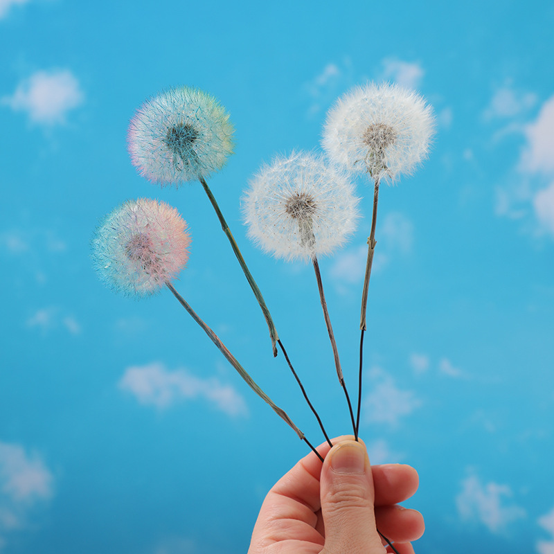 Preserved Dandelion DIY Epoxy  - Resin Craft Kit review and price