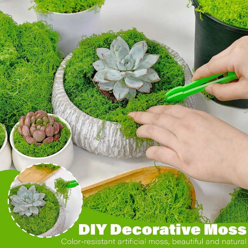 Artificial Green Plants Eterna - Terrarium Moss Art review and price